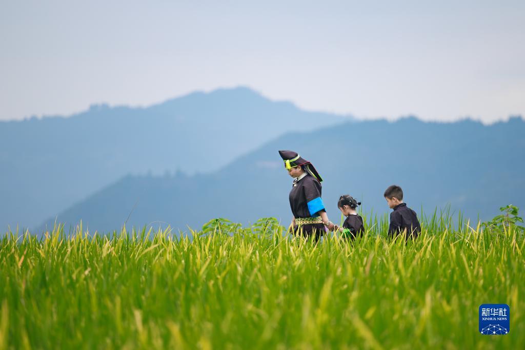 2018注定册送彩全